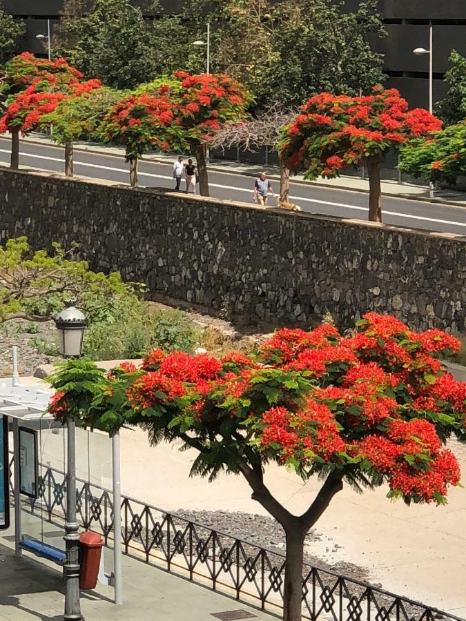 サンタクルスデテネリフェSan Sebastian 65アパートメント エクステリア 写真